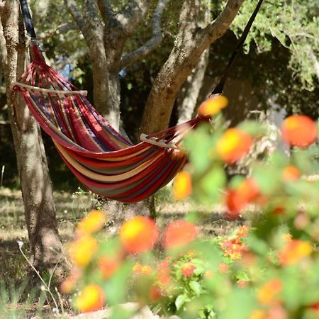 Finca Katia Capdepera  Εξωτερικό φωτογραφία
